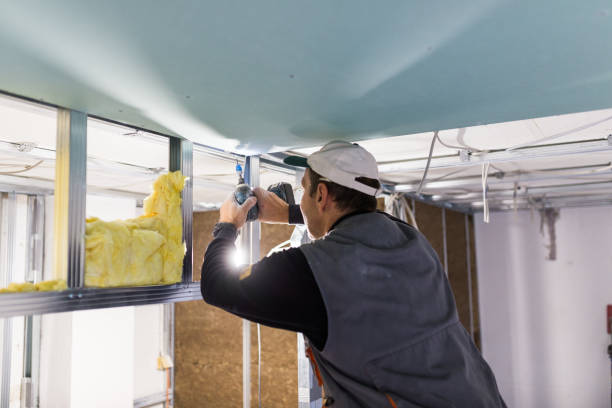 Best Blown-In Insulation  in Antigo, WI